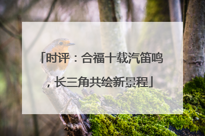 时评：合福十载汽笛鸣，长三角共绘新景程
