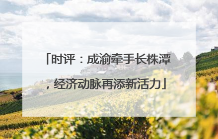 时评：成渝牵手长株潭，经济动脉再添新活力