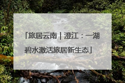 旅居云南｜澄江：一湖碧水激活旅居新生态
