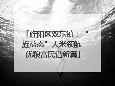 旌阳区双东镇：“旌益态”大米领航 优粮富民谱新篇