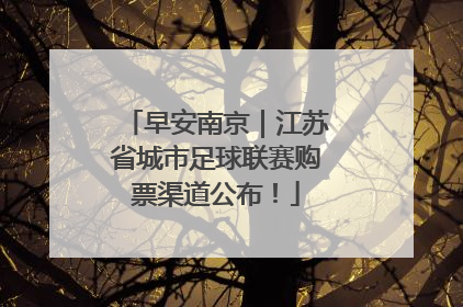 早安南京｜江苏省城市足球联赛购票渠道公布！