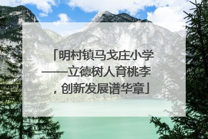 明村镇马戈庄小学——立德树人育桃李，创新发展谱华章