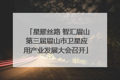 星耀丝路 智汇眉山 第三届眉山市卫星应用产业发展大会召开