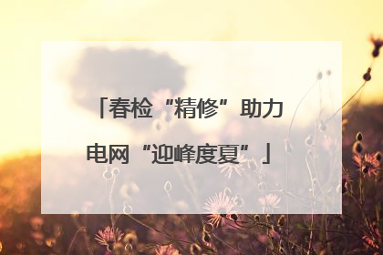 春检“精修”助力电网“迎峰度夏”