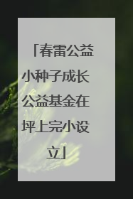 春雷公益小种子成长公益基金在坪上完小设立