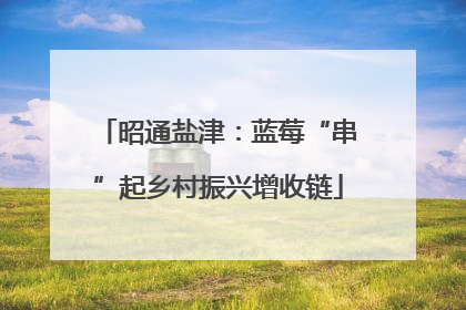 昭通盐津：蓝莓“串”起乡村振兴增收链