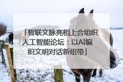 智联文脉亮相上合组织人工智能论坛：以AI编织文明对话新纽带