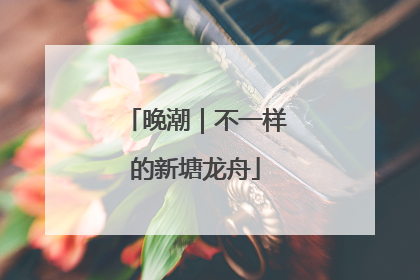 晚潮｜不一样的新塘龙舟