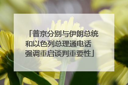 普京分别与伊朗总统和以色列总理通电话 强调重启谈判重要性