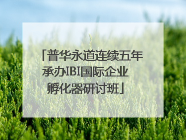 普华永道连续五年承办IBI国际企业孵化器研讨班