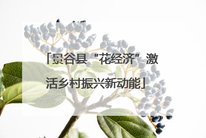 景谷县“花经济”激活乡村振兴新动能