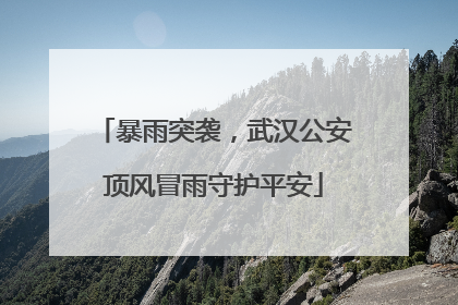 暴雨突袭，武汉公安顶风冒雨守护平安