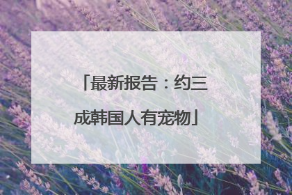 最新报告：约三成韩国人有宠物
