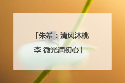朱希：清风沐桃李 微光润初心