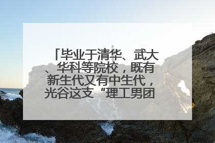 毕业于清华、武大、华科等院校，既有新生代又有中生代，光谷这支“理工男团”为何“出道”？