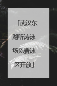 武汉东湖听涛泳场免费泳区开放