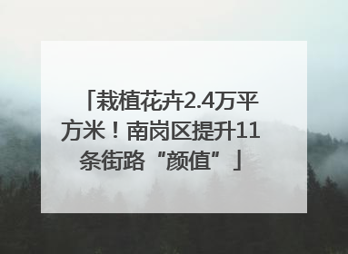 栽植花卉2.4万平方米！南岗区提升11条街路“颜值”