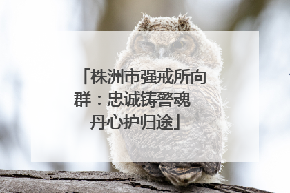 株洲市强戒所向群：忠诚铸警魂 丹心护归途