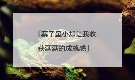 案子虽小却让我收获满满的成就感