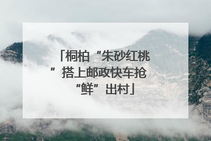 桐柏“朱砂红桃”搭上邮政快车抢“鲜”出村
