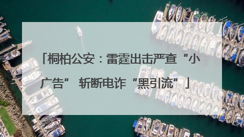 桐柏公安：雷霆出击严查“小广告” 斩断电诈“黑引流”