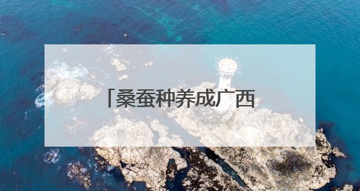 桑蚕种养成广西柳州柳江区民众增收致富特色产业