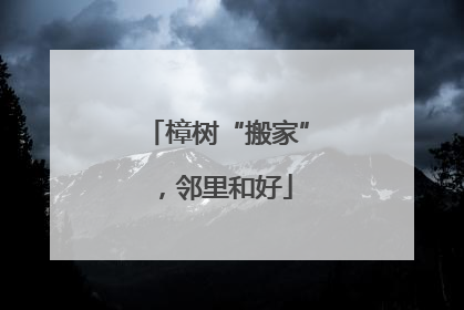 樟树“搬家”，邻里和好