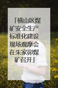 横山区煤矿安全生产标准化建设现场观摩会在朱家峁煤矿召开