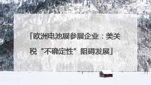 欧洲电池展参展企业：美关税“不确定性”阻碍发展