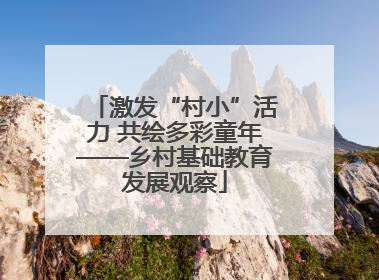 激发“村小”活力 共绘多彩童年——乡村基础教育发展观察
