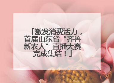 激发消费活力，首届山东省“齐鲁新农人”直播大赛完成集结！