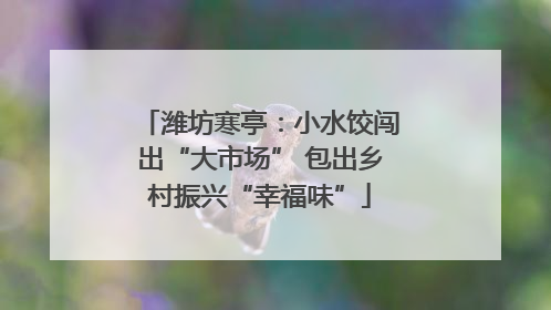 潍坊寒亭：小水饺闯出“大市场” 包出乡村振兴“幸福味”
