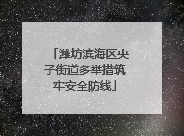 潍坊滨海区央子街道多举措筑牢安全防线