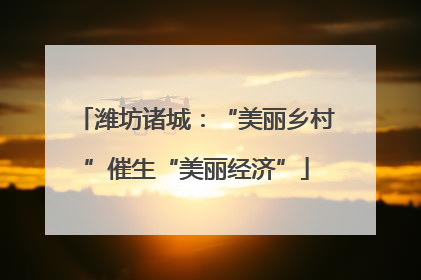 潍坊诸城：“美丽乡村”催生“美丽经济”