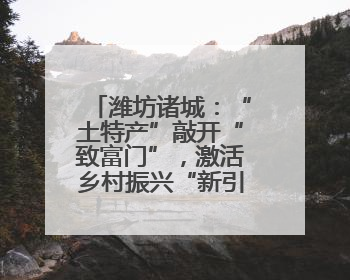 潍坊诸城：“土特产”敲开“致富门”，激活乡村振兴“新引擎”