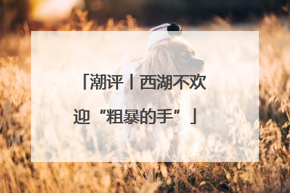 潮评丨西湖不欢迎“粗暴的手”