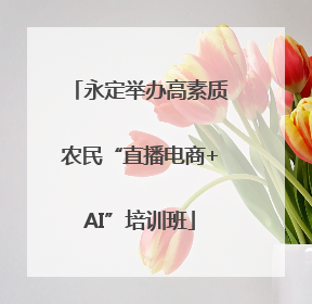 永定举办高素质农民“直播电商+AI”培训班