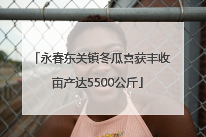 永春东关镇冬瓜喜获丰收 亩产达5500公斤