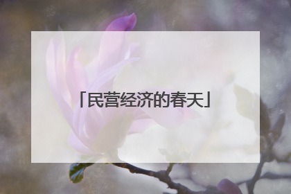 民营经济的春天