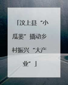 汶上县“小瓜蒌”撬动乡村振兴“大产业”