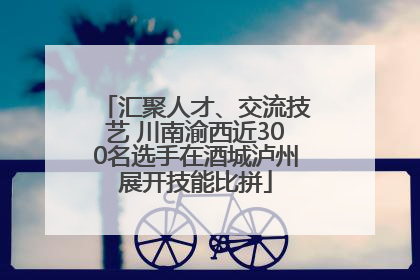 汇聚人才、交流技艺 川南渝西近300名选手在酒城泸州展开技能比拼