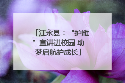 江永县：“护雁”宣讲进校园 助梦启航护成长