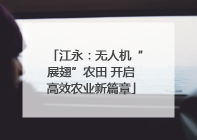江永：无人机“展翅”农田 开启高效农业新篇章