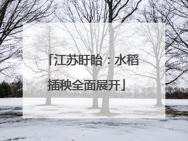 江苏盱眙：水稻插秧全面展开