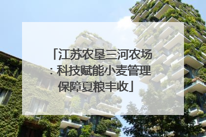 江苏农垦三河农场：科技赋能小麦管理保障夏粮丰收