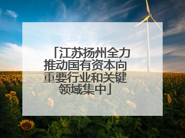 江苏扬州全力推动国有资本向重要行业和关键领域集中