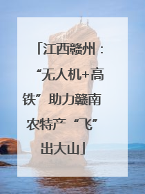 江西赣州：“无人机+高铁”助力赣南农特产“飞”出大山