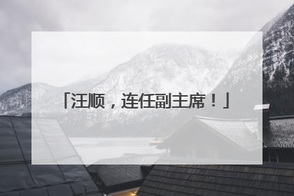 汪顺，连任副主席！