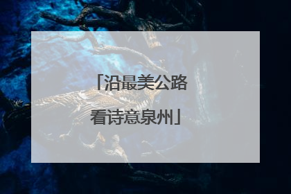 沿最美公路 看诗意泉州