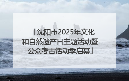 沈阳市2025年文化和自然遗产日主题活动暨公众考古活动季启幕